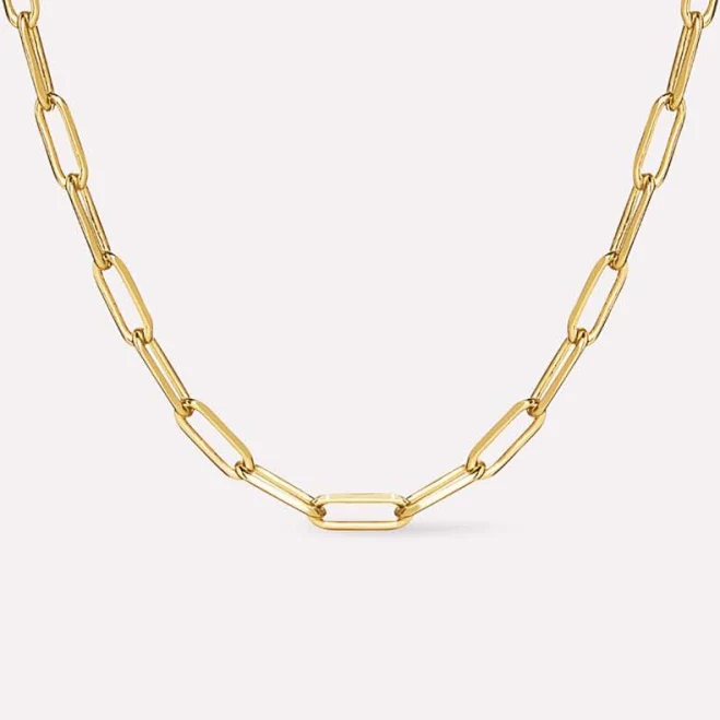 accessory Ana Luisa Laura Bold 14K Gold Plated Link Chain Necklace Ana Luisa $85