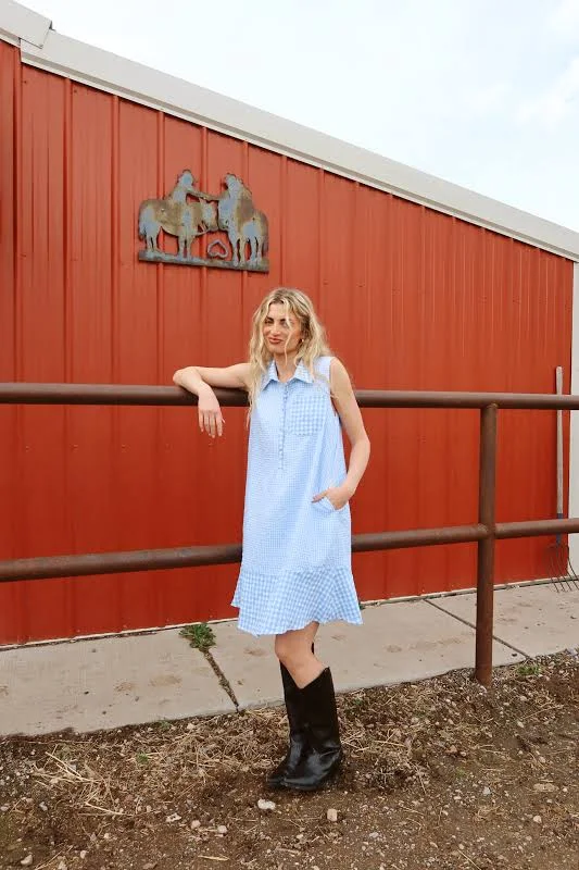 dress Bluebell Gingham Shirt Dress Henly $58