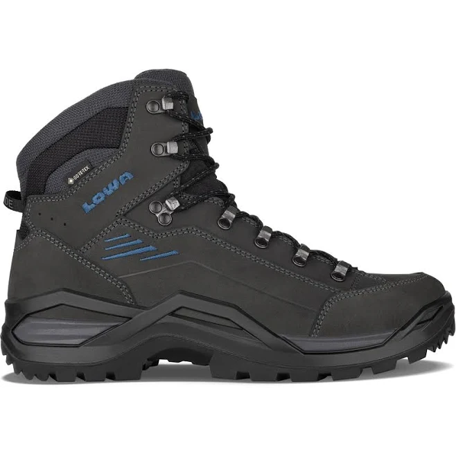 shoes Lowa Men's Renegade Evo GTX Mid REI $280