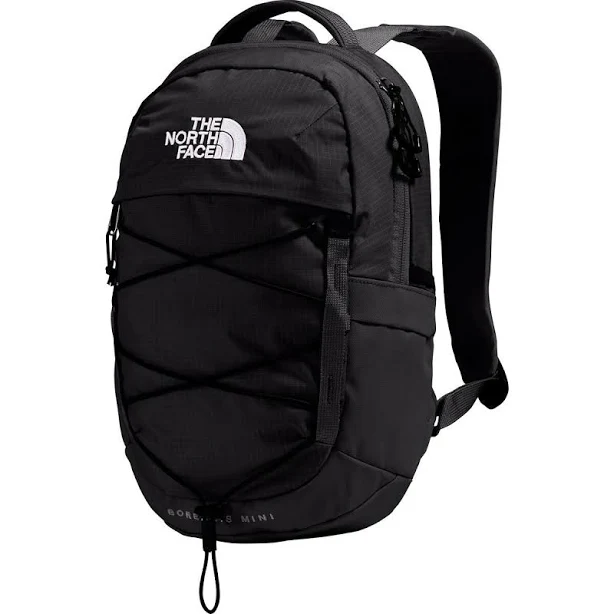 bag The North Face Borealis Mini Backpack Backcountry.com $65