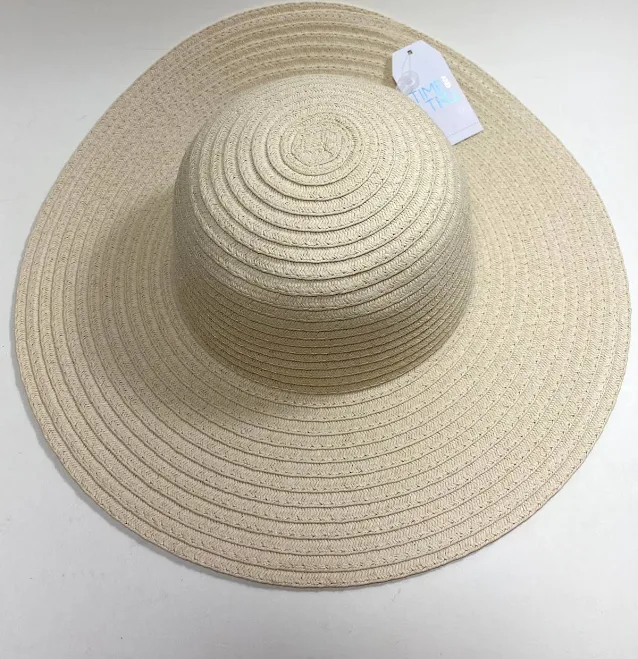 accessory Time and Tru Women's Floppy Hat eBay $3.99