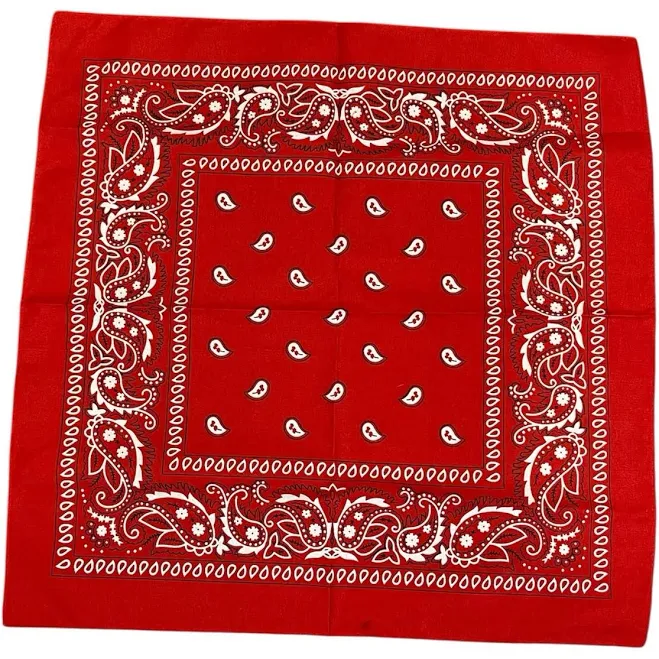 accessory Yacht & Smith Cotton Paisley Bandanna eBay $9.25