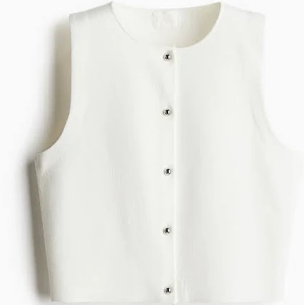 knit vest H&M Ladies Knit Vest H&M $24.99